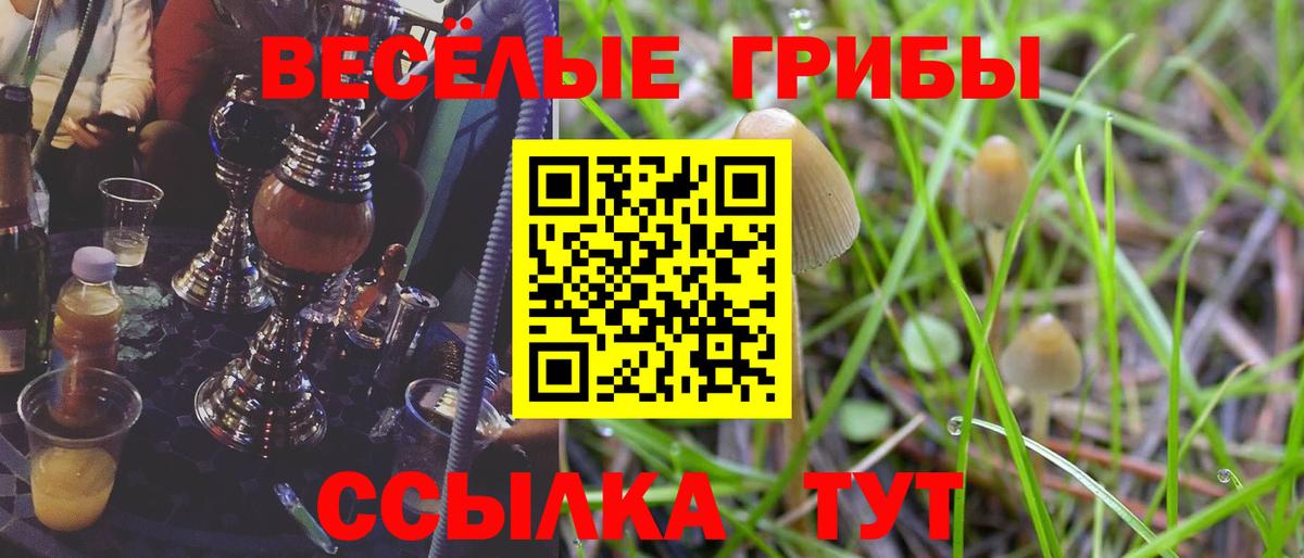Донской  Псилоцибиновые грибы мухоморы  Псилоцибиновые грибы Cubensis  Вход с VPN 